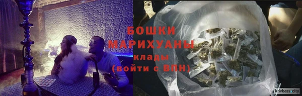 ALPHA PVP Тотьма