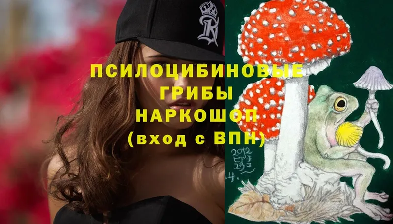 Псилоцибиновые грибы Cubensis  Серпухов 