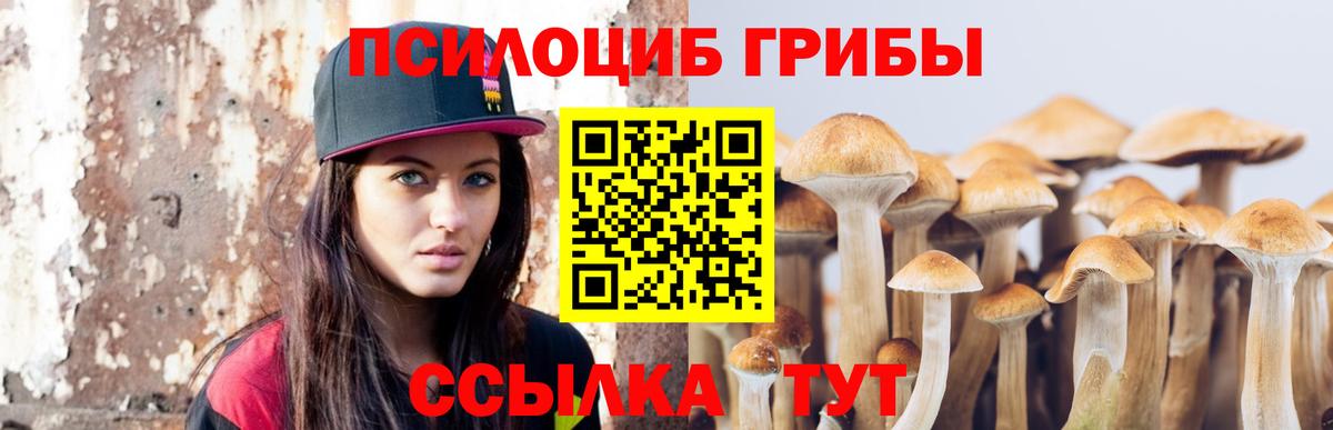 Псилоцибиновые грибы MAGIC MUSHROOMS  Вход с VPN  магазин  наркотиков  Галлюциногенные грибы ЛСД  Серпухов 